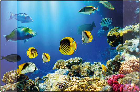 Kangaro K-0014D115 Bureauonderlegger Pp 38X58Cm Dessin Aquarium